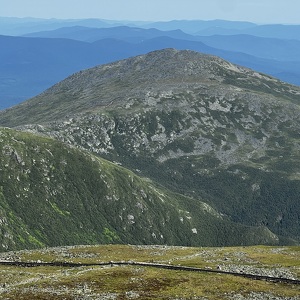 Fundraising Page: Annie Hickey